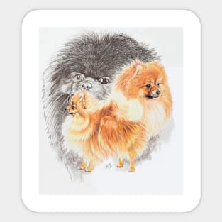 Pomeranian Medley Sticker